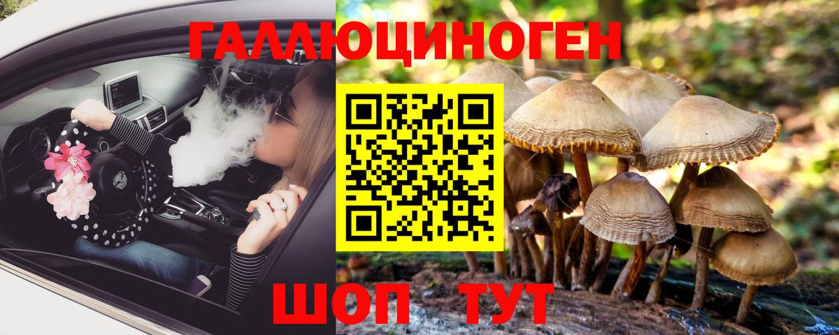 Полысаево  Галлюциногенные грибы Cubensis  Вход с VPN 